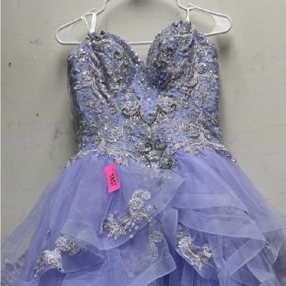 Princesa Ariana Vara Beautiful Gown